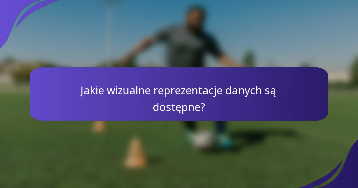 Jakie wizualne reprezentacje danych są dostępne?